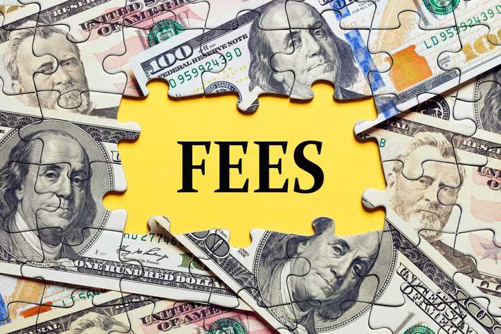 Mannheim MiM Fees